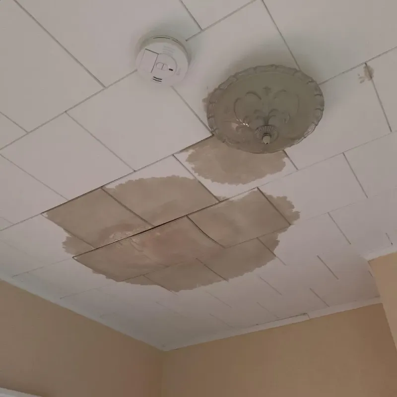 Ceiling Water Damage Repair in Charenton, LA