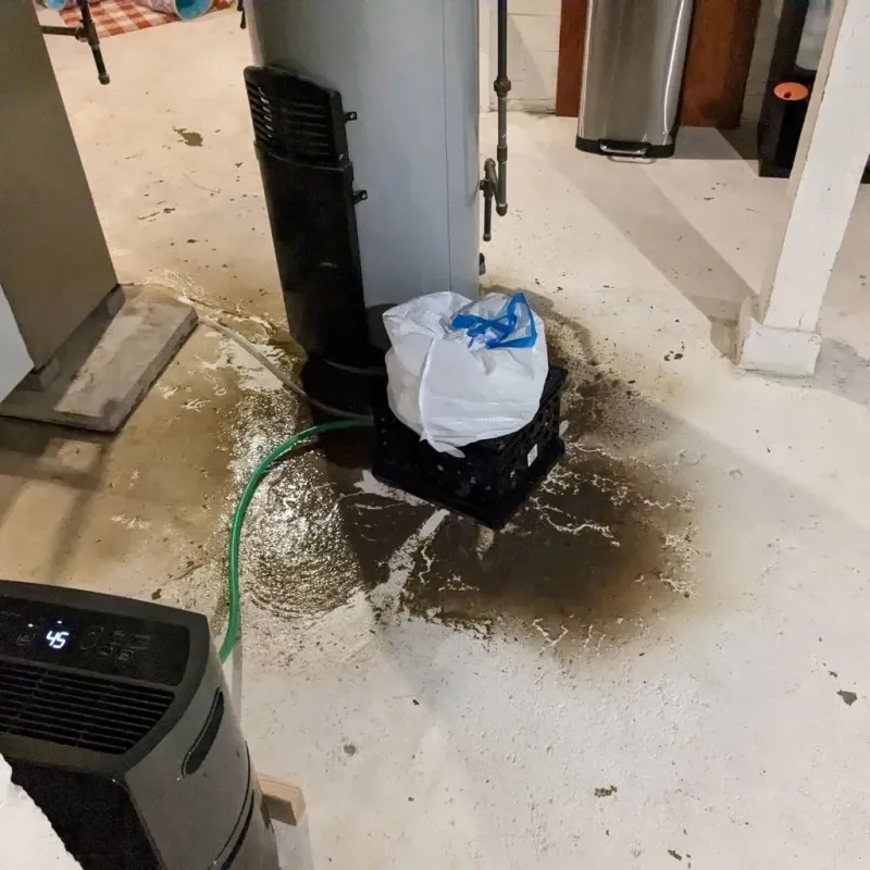 Sewage Backup Cleanup Service in Charenton, LA